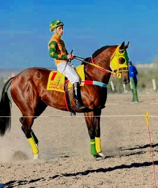 ER Milord